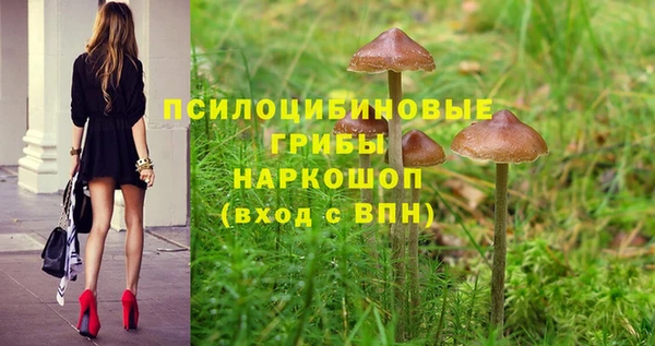 ALPHA-PVP Зеленокумск