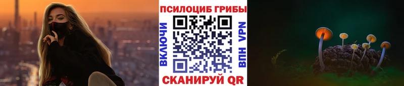 Купить  Знаменск  Галлюциногенные грибы прущие грибы 